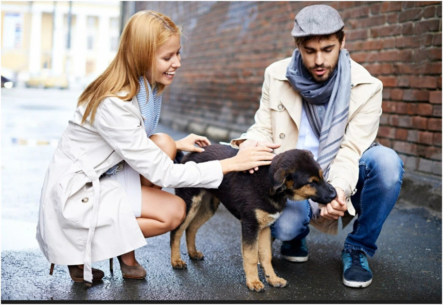 Can a dog bite lawyer in Liberty help with insurance claims with Empower Injury Law