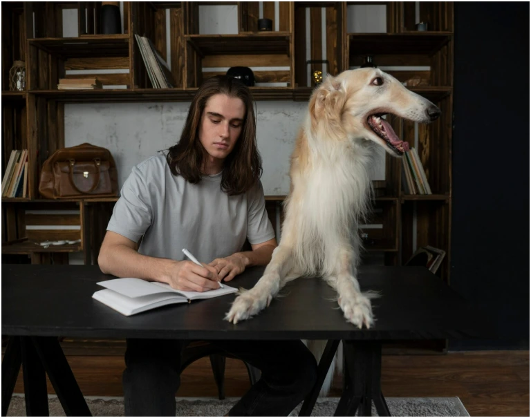 How much does the best dog bite lawyer in Liberty cost explained by Empower Injury Law