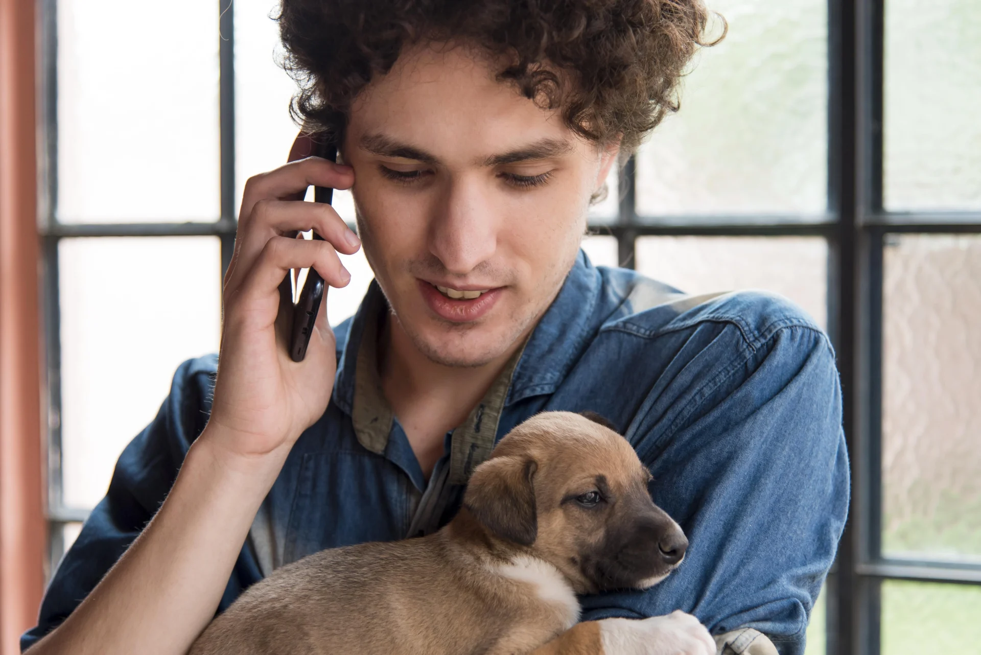 When should I call a dog bite attorney in Missouri