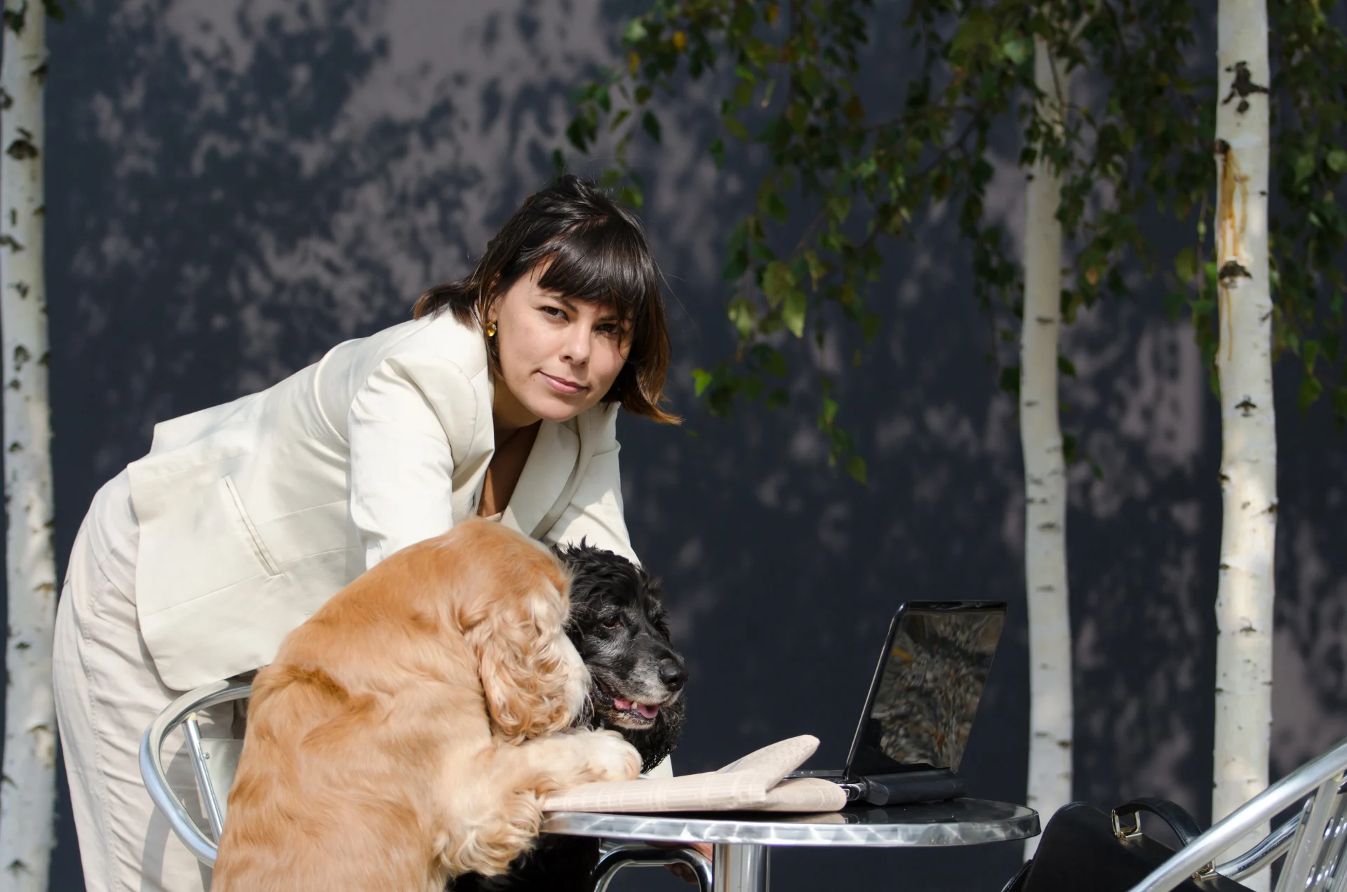 Victim researching how do I find the best dog bite lawyer in Missouri